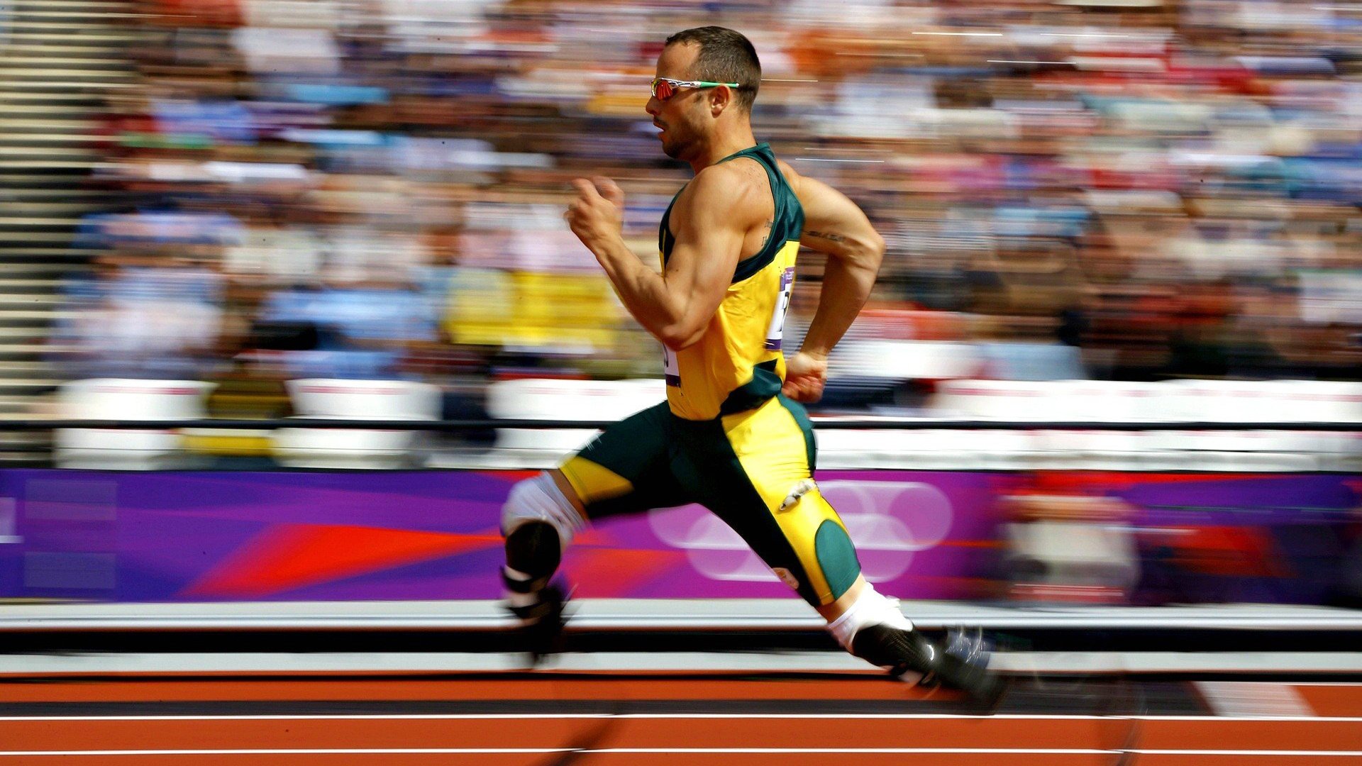 门迪铁闸锁郁金香,当非洲门神扼住荷兰足球的咽喉